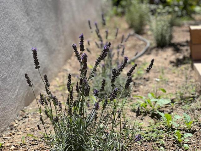 Une Nuit En Luberon Puyvert Kültér fotó